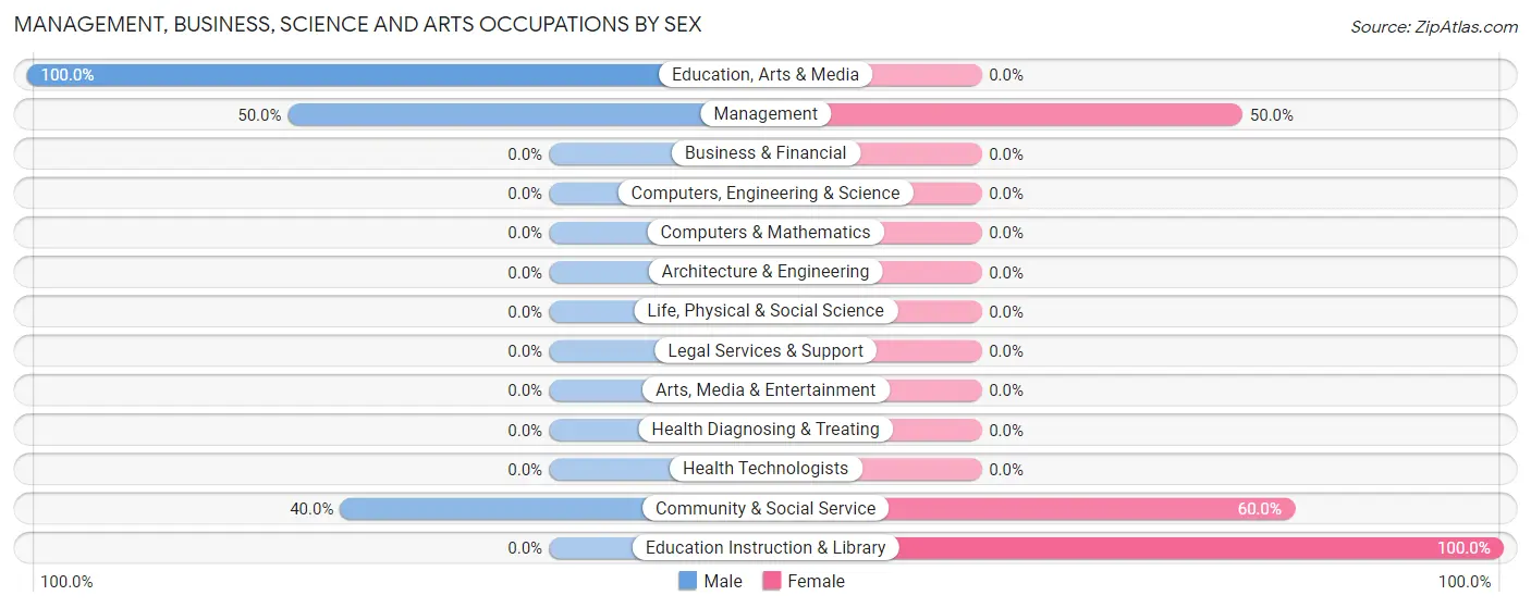Management, Business, Science and Arts Occupations by Sex in Tensed