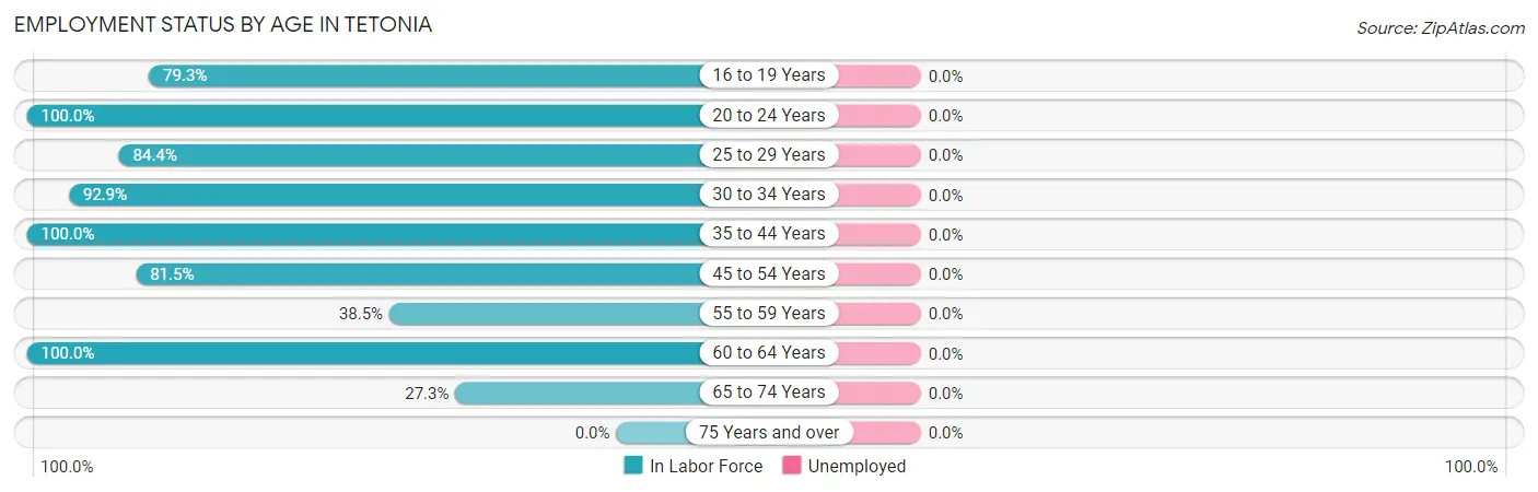 Employment Status by Age in Tetonia