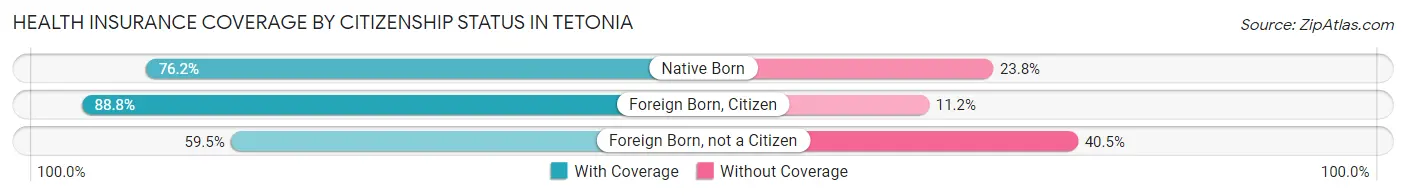 Health Insurance Coverage by Citizenship Status in Tetonia