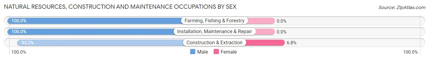 Natural Resources, Construction and Maintenance Occupations by Sex in Tetonia