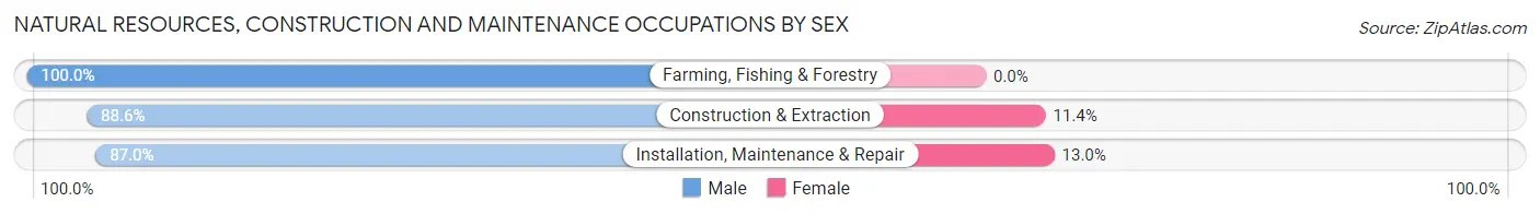 Natural Resources, Construction and Maintenance Occupations by Sex in Troy