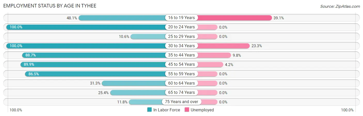 Employment Status by Age in Tyhee