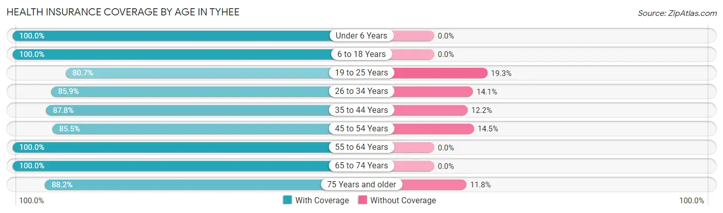 Health Insurance Coverage by Age in Tyhee