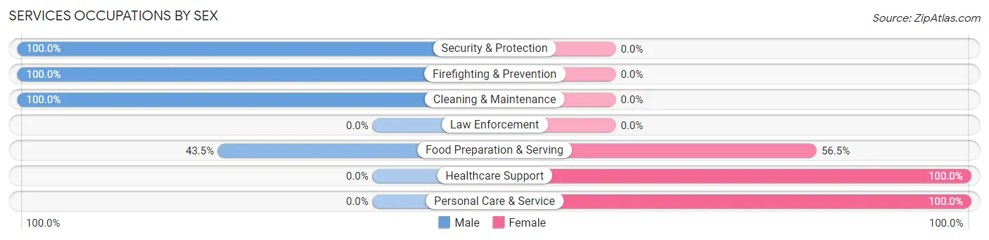 Services Occupations by Sex in Tyhee