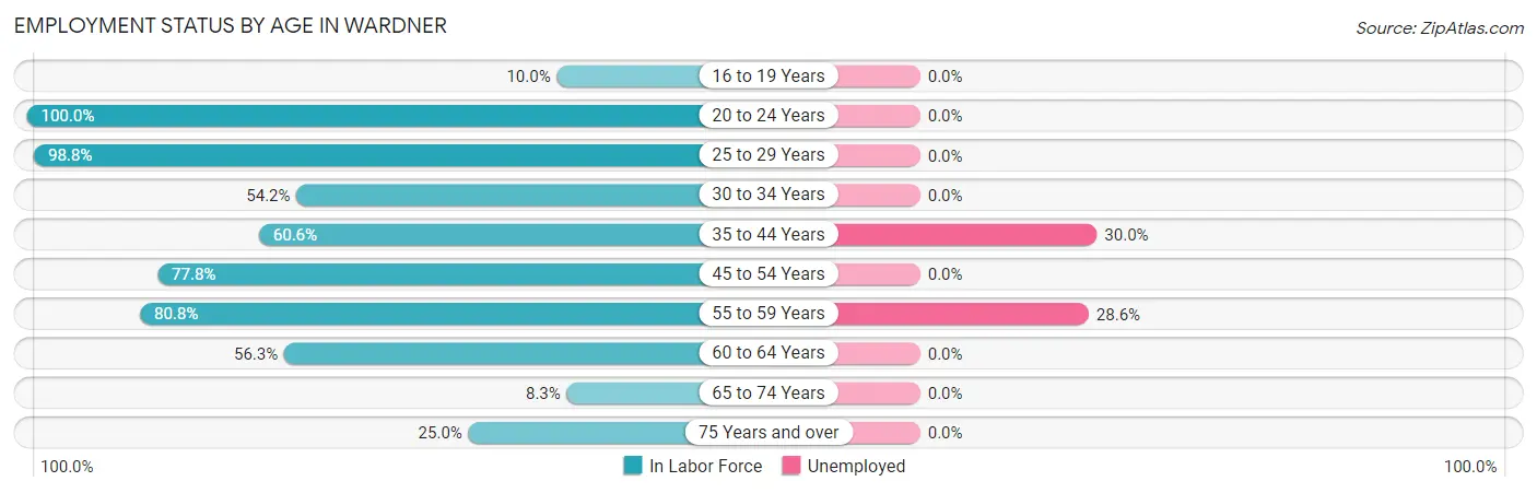 Employment Status by Age in Wardner