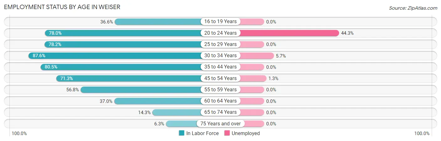 Employment Status by Age in Weiser