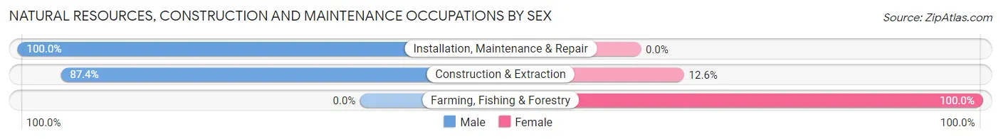 Natural Resources, Construction and Maintenance Occupations by Sex in Weiser