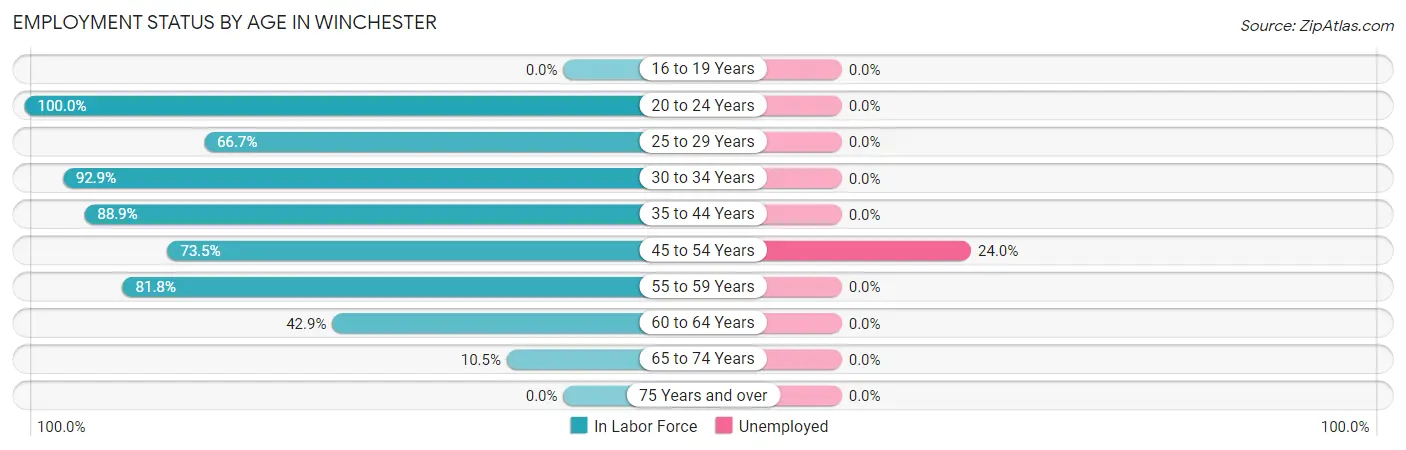Employment Status by Age in Winchester