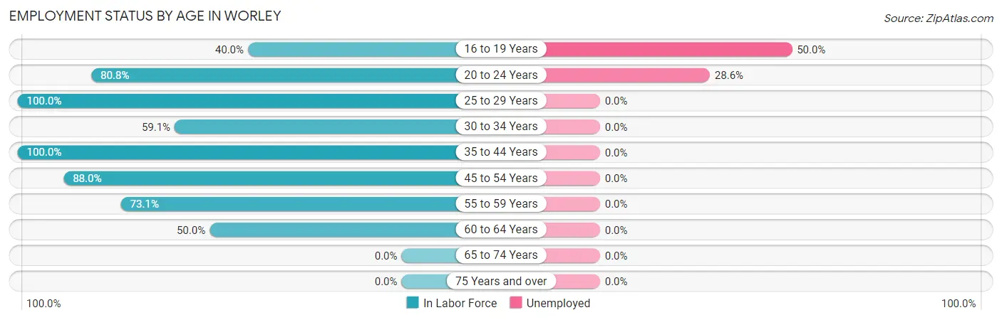 Employment Status by Age in Worley