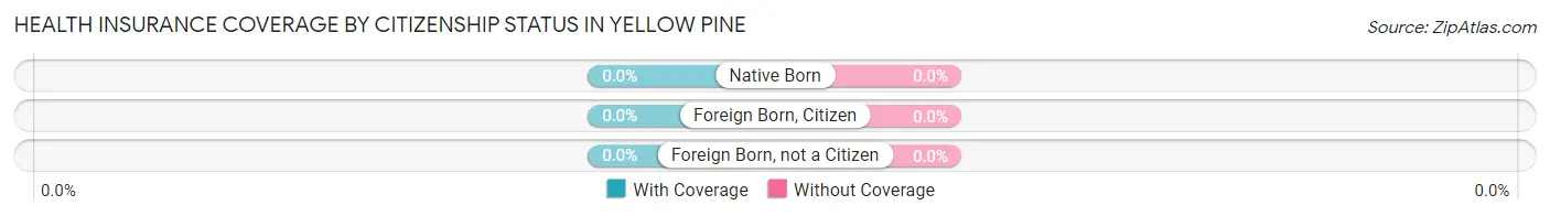 Health Insurance Coverage by Citizenship Status in Yellow Pine