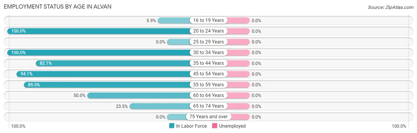 Employment Status by Age in Alvan