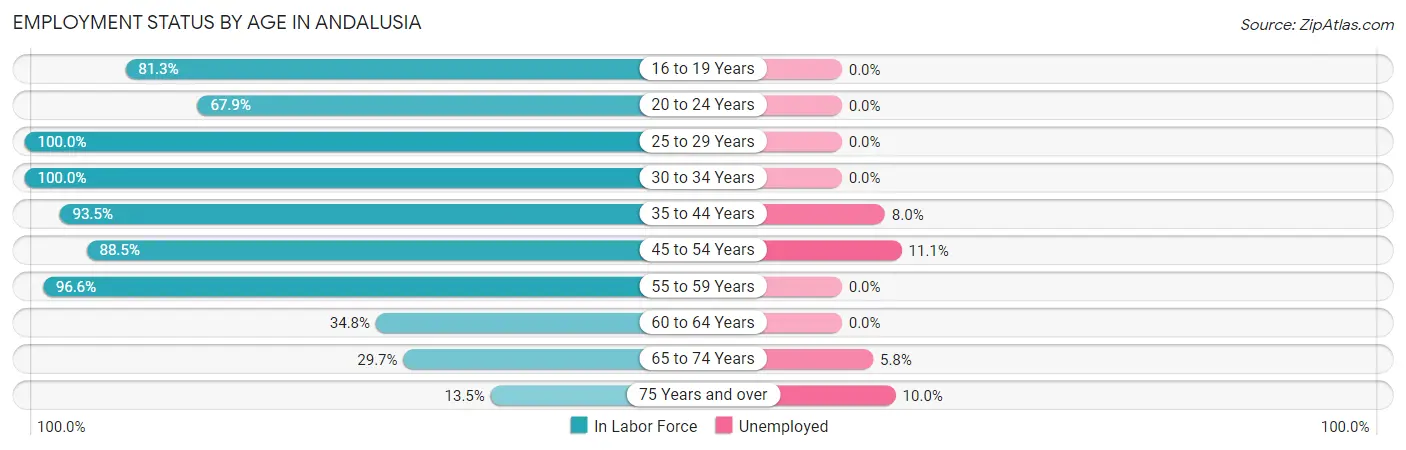 Employment Status by Age in Andalusia