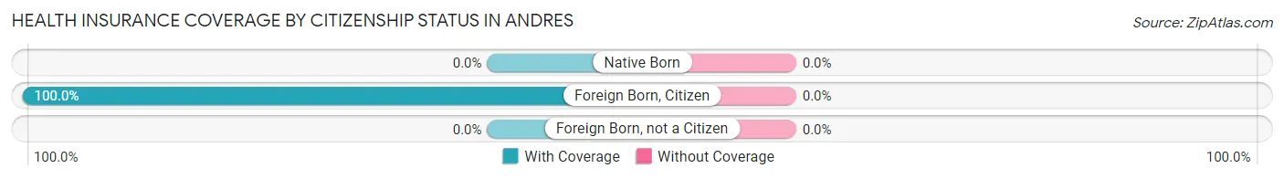Health Insurance Coverage by Citizenship Status in Andres