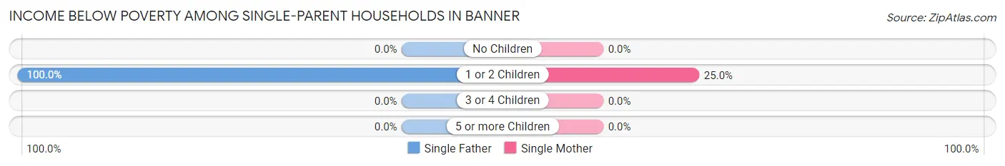 Income Below Poverty Among Single-Parent Households in Banner
