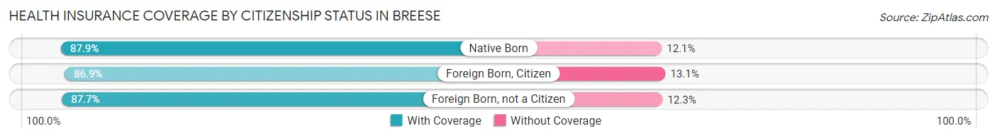 Health Insurance Coverage by Citizenship Status in Breese