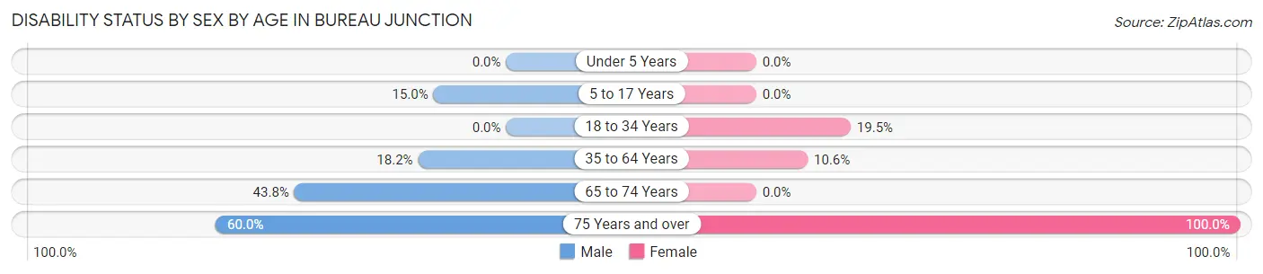 Disability Status by Sex by Age in Bureau Junction
