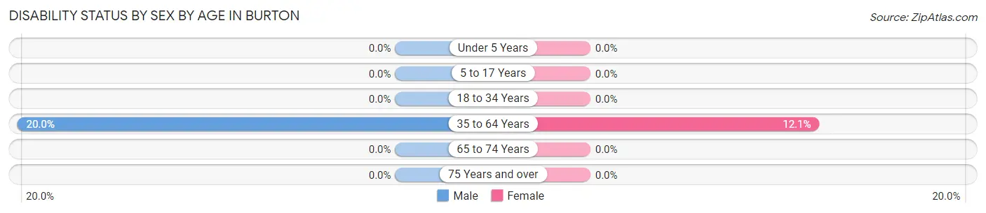 Disability Status by Sex by Age in Burton