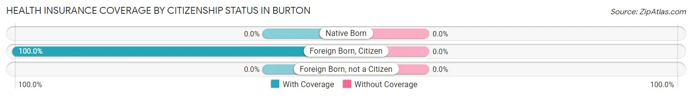 Health Insurance Coverage by Citizenship Status in Burton