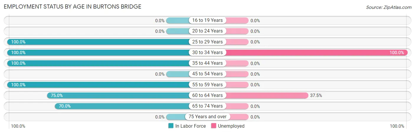 Employment Status by Age in Burtons Bridge