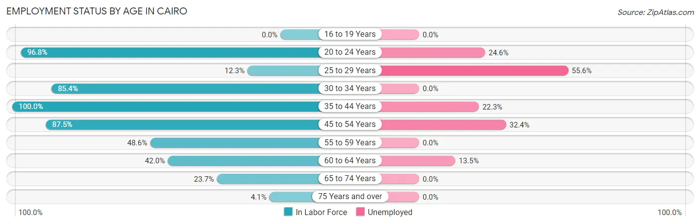 Employment Status by Age in Cairo