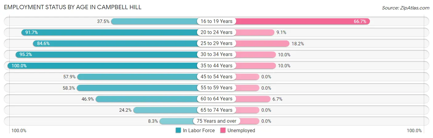 Employment Status by Age in Campbell Hill