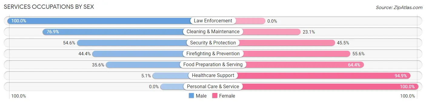 Services Occupations by Sex in Christopher
