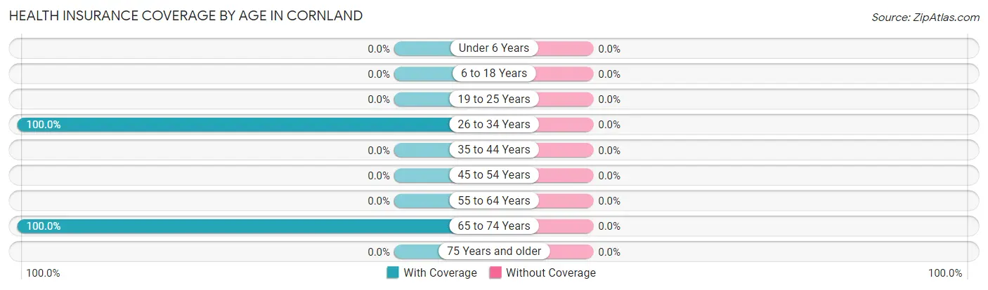 Health Insurance Coverage by Age in Cornland