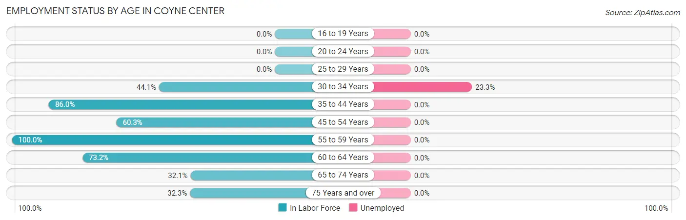 Employment Status by Age in Coyne Center
