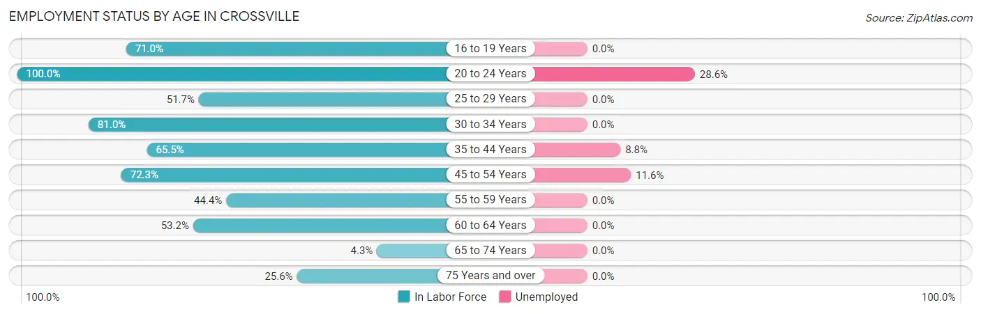 Employment Status by Age in Crossville