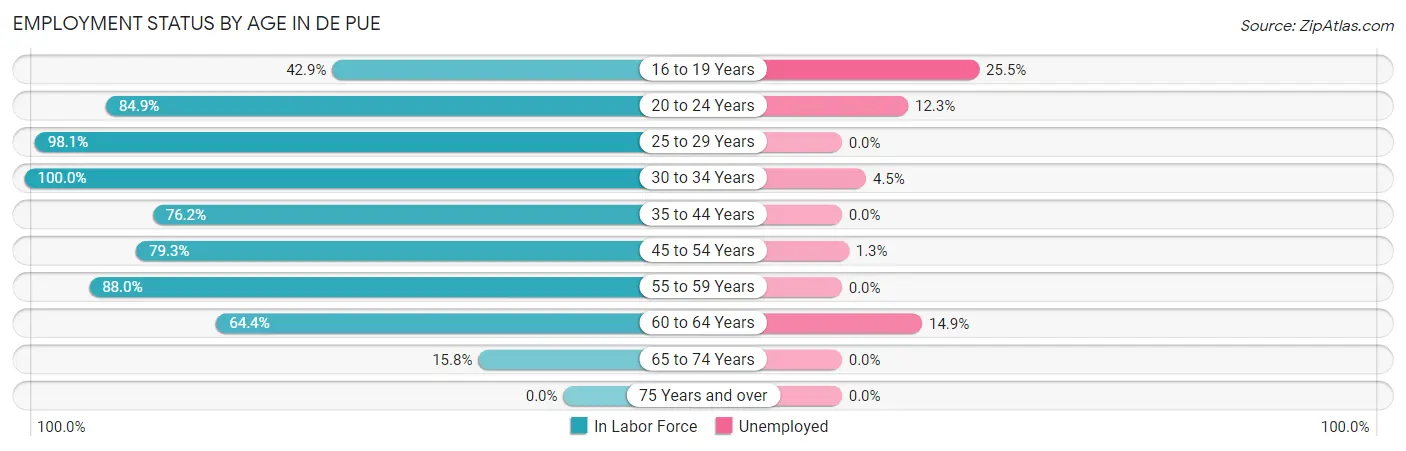 Employment Status by Age in De Pue