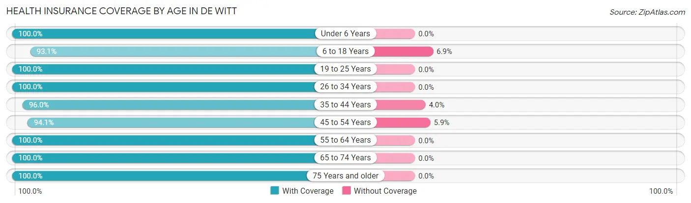 Health Insurance Coverage by Age in De Witt