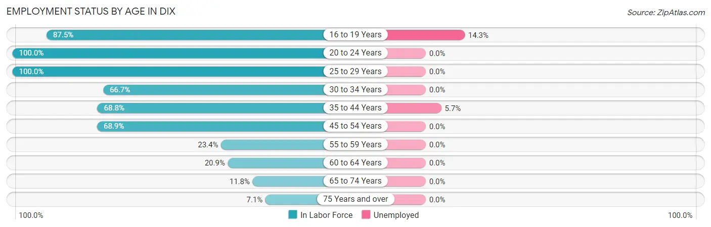 Employment Status by Age in Dix