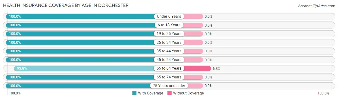 Health Insurance Coverage by Age in Dorchester