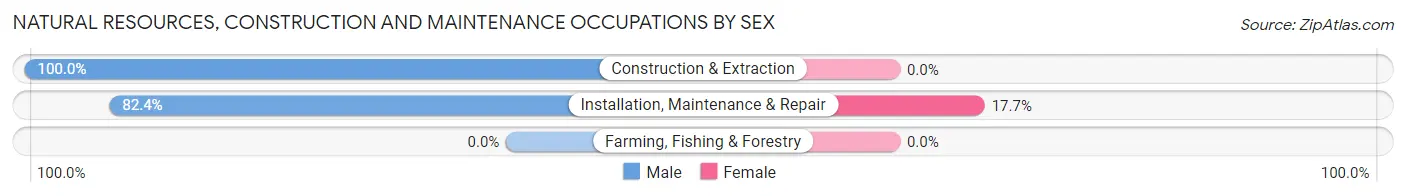 Natural Resources, Construction and Maintenance Occupations by Sex in Dunlap