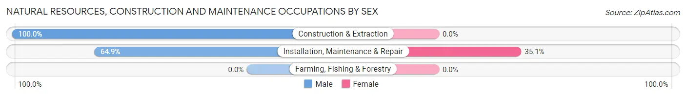 Natural Resources, Construction and Maintenance Occupations by Sex in Dupo