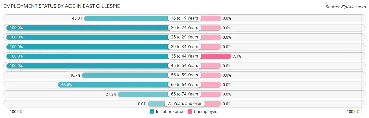 Employment Status by Age in East Gillespie