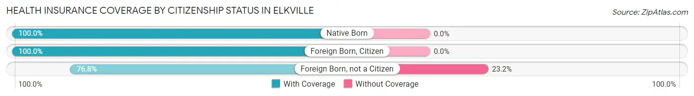 Health Insurance Coverage by Citizenship Status in Elkville