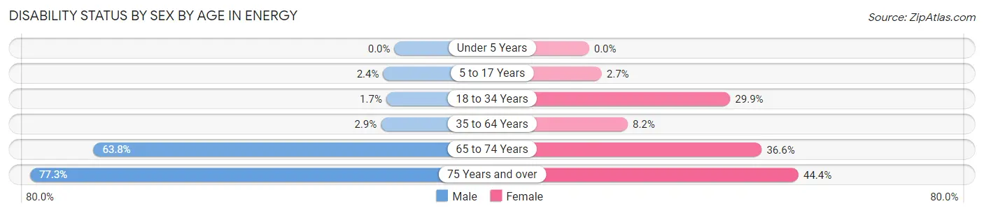 Disability Status by Sex by Age in Energy