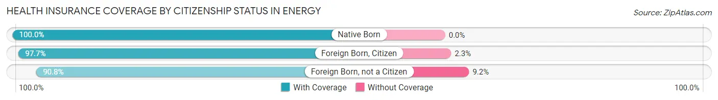 Health Insurance Coverage by Citizenship Status in Energy