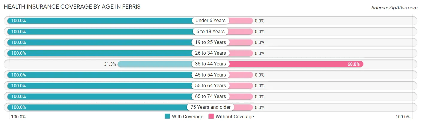 Health Insurance Coverage by Age in Ferris