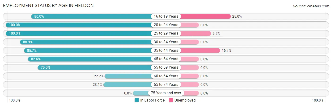 Employment Status by Age in Fieldon