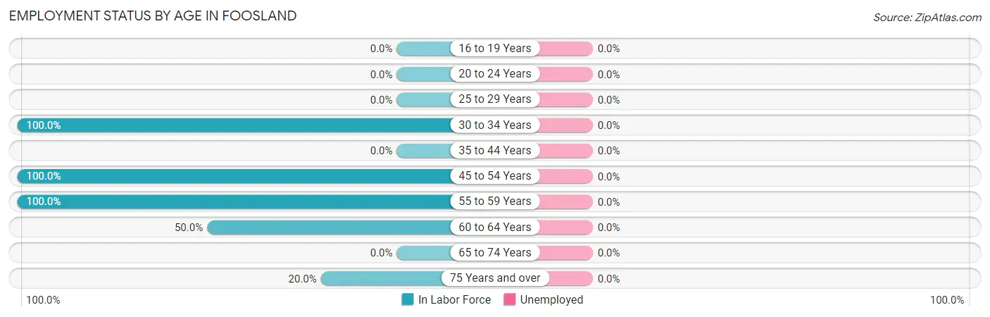 Employment Status by Age in Foosland