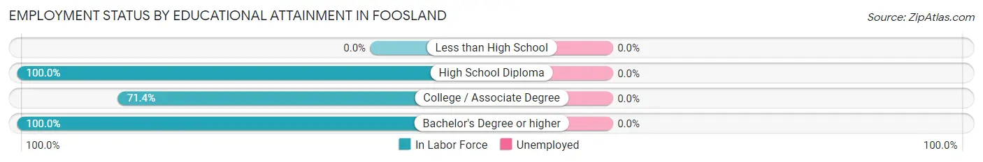 Employment Status by Educational Attainment in Foosland