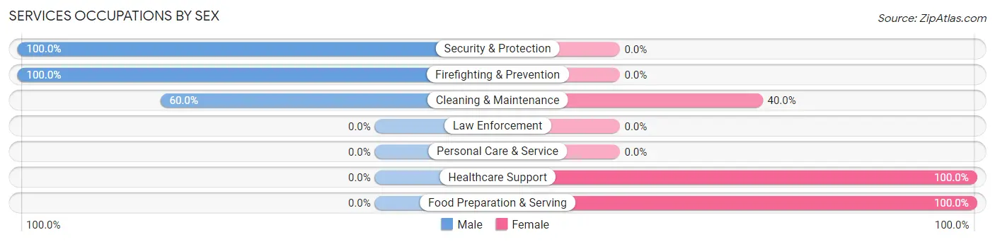 Services Occupations by Sex in Ford Heights