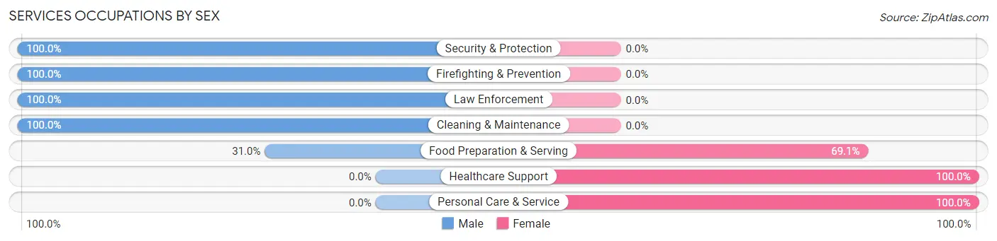 Services Occupations by Sex in Glencoe