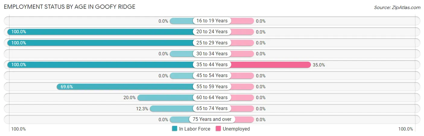 Employment Status by Age in Goofy Ridge