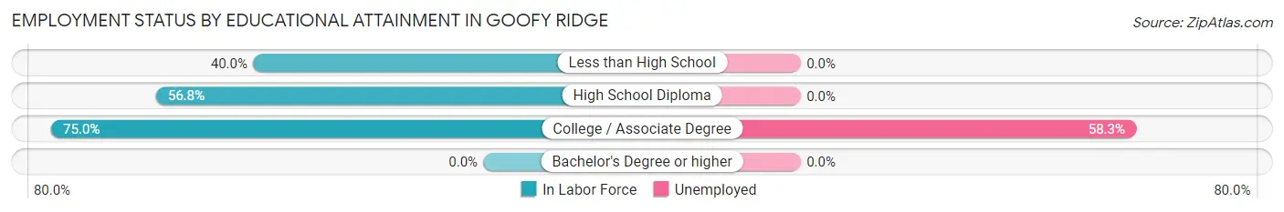 Employment Status by Educational Attainment in Goofy Ridge