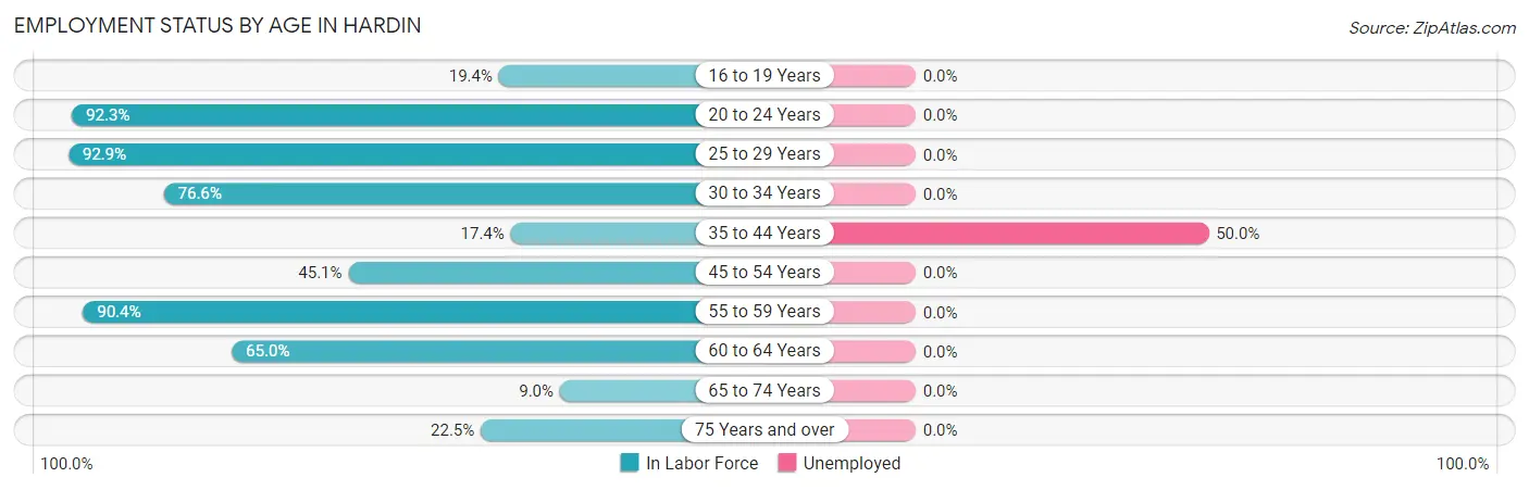 Employment Status by Age in Hardin
