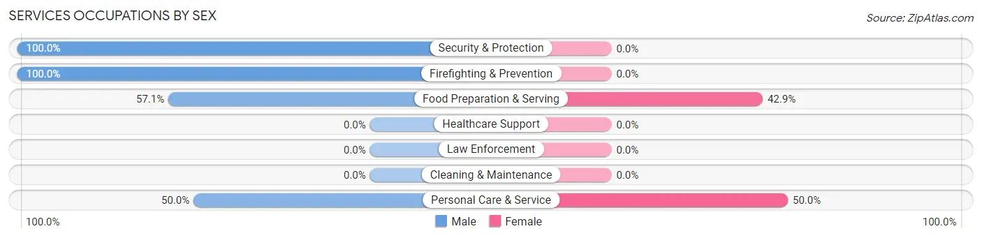 Services Occupations by Sex in Holcomb