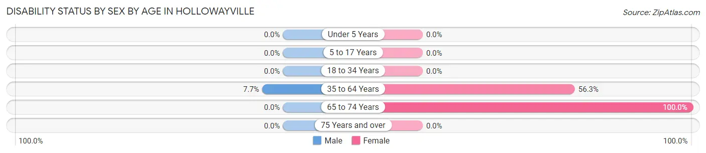 Disability Status by Sex by Age in Hollowayville